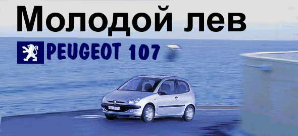 Молодой лев - Peugeot 107